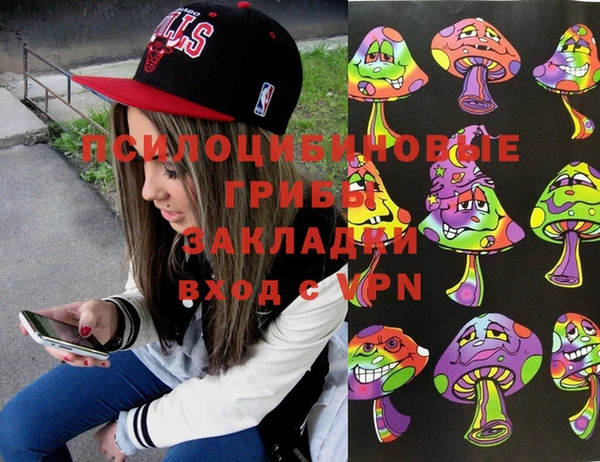 индика Покров