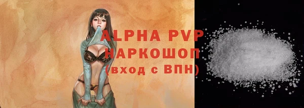индика Покров