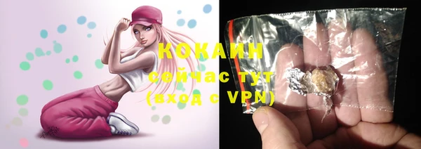 индика Покров