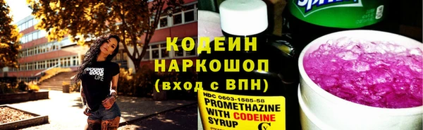 индика Покров