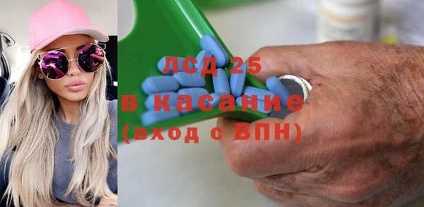 индика Покров