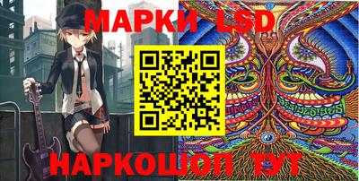 МДПВ Бийск