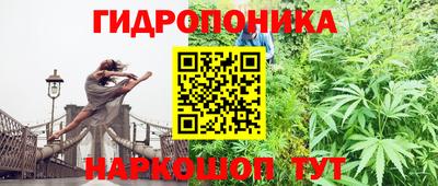 альфа пвп Бийск