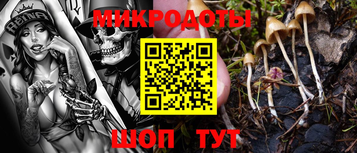 Псилоцибиновые грибы мухоморы Выборг
