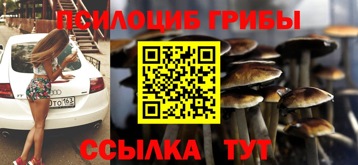 Псилоцибиновые грибы Psilocybine cubensis Выборг