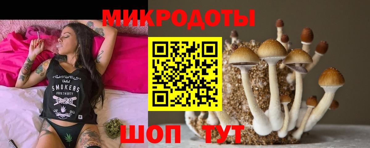 Галлюциногенные грибы Cubensis  Вход с VPN  даркнет сайт  Выборг 
